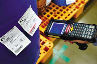 筑牢防线，智慧守护 食品安全谣言治理与安全系统监控服务